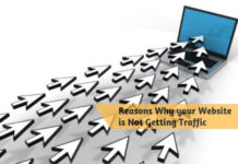 Reasons Why your Website is Not Getting Traffic