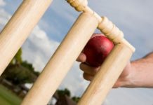 Expanding the game-related skill base with the help of fantasy cricket application
