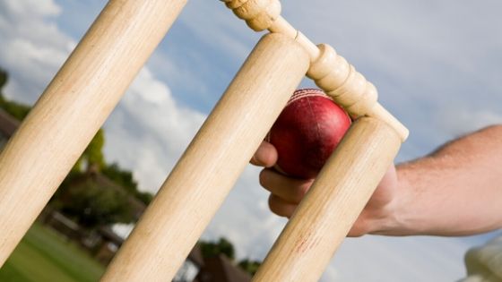 Expanding the game-related skill base with the help of fantasy cricket application