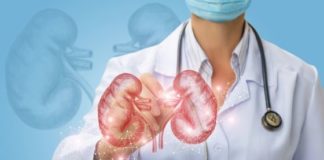 A Simple Guide on How to Improve Kidney Health