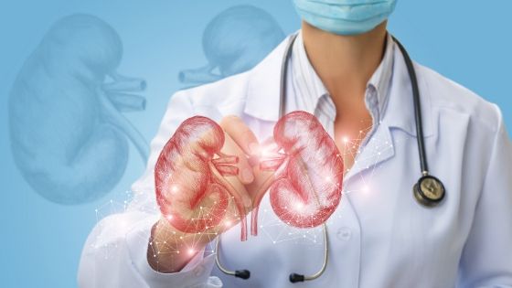 A Simple Guide on How to Improve Kidney Health