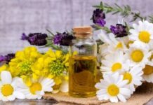 4 Must-Have Herbal Oils