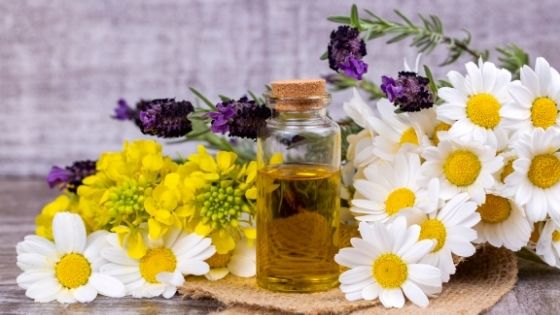 4 Must-Have Herbal Oils