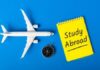 Important Factors to Consider While Choosing A College to Study Abroad