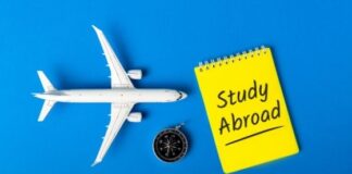 Important Factors to Consider While Choosing A College to Study Abroad