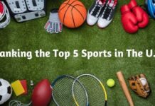 Ranking the Top 5 Sports in The US