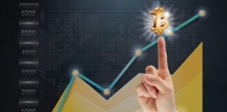 Want to Make Productive Revenues Through the Bitcoin Trade - Follow These Tips