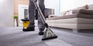 How Professional Carpet Cleaning Can Improve the Overall Health of Your Family