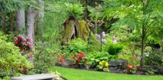 How to Make Your Garden Your Summer Retreat