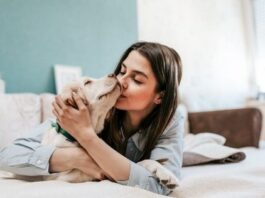 5 Adorable Ideas for Your Animal Loving Friends