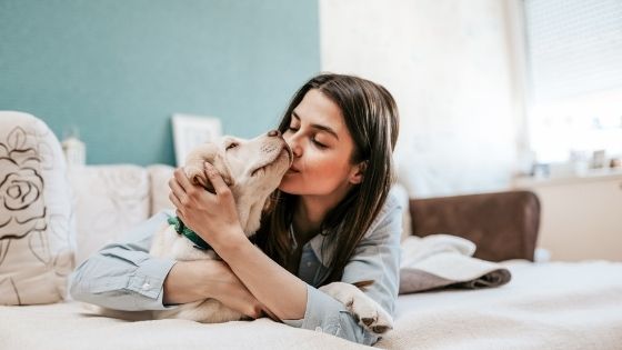 5 Adorable Ideas for Your Animal Loving Friends