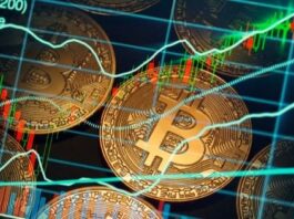 Bitcoin Trading – Follow These Tips to Make Maximum Profits