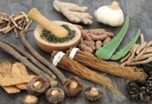 Everything You Need To Know About Adaptogens