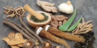 Everything You Need To Know About Adaptogens