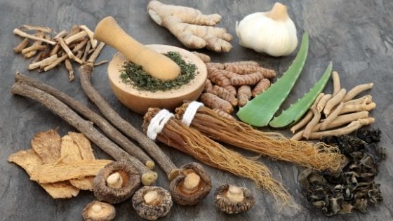 Everything You Need To Know About Adaptogens