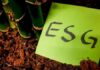Top 10 ESG Trends for the New Decade