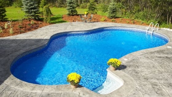 The Reasons Why We All Need To Be In The Swimming Pool