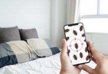 How to Find and Eliminate Bed Bugs