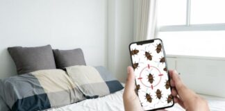 How to Find and Eliminate Bed Bugs