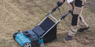 How to Go About Buying Lawn Scarifiers Online - 6 Tips
