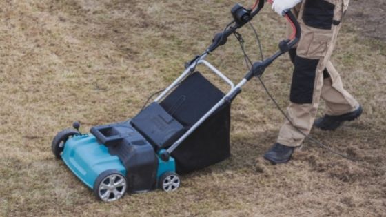 How to Go About Buying Lawn Scarifiers Online - 6 Tips