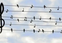 Why One Should Use Royalty-Free Music For Personal Projects