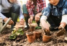 Why You Should Consider Investing in an Awning for Your Garden