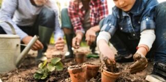 Why You Should Consider Investing in an Awning for Your Garden