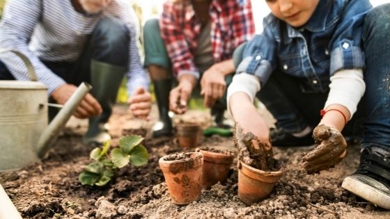 Why You Should Consider Investing in an Awning for Your Garden