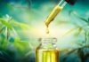 6 Essential Things You Should Check On THC Oil Label
