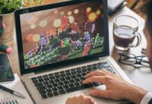 A Short Guide on the Online Sweepstakes Software