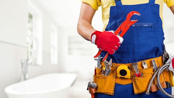 5 Reasons Why You Need a Professional Plumber