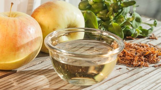 How Can Green Tea and Apple Cider Vinegar Help the Body