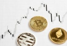 Reasons On Why the Cryptocurrency Value Fluctuates So Much