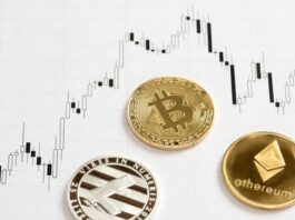 Reasons On Why the Cryptocurrency Value Fluctuates So Much