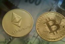 What to Choose - A Complete Beginners Guide On Ethereum Vs Bitcoin