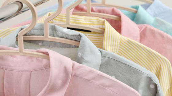 5 Things to Consider Before Purchasing Womens Shirts