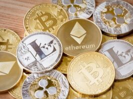 Choose The Best Cryptocurrency to Invest In - Points To Note