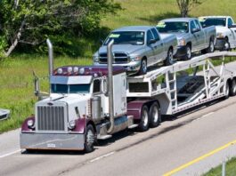 Exploring the Different Delivery Options for Auto Transport
