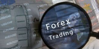 TU Found The Best Forex Broker With Infinite Leverage