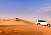 Great Tips to Have an Awesome Desert Safari Experience in Dubai