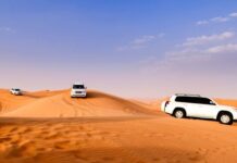 Great Tips to Have an Awesome Desert Safari Experience in Dubai