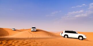 Great Tips to Have an Awesome Desert Safari Experience in Dubai