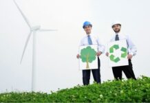 How You Can Make Your Company Environmentally Friendly