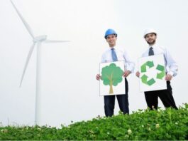 How You Can Make Your Company Environmentally Friendly