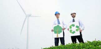 How You Can Make Your Company Environmentally Friendly