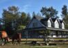 How to Create the Perfect Home for Your Horse