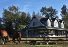 How to Create the Perfect Home for Your Horse