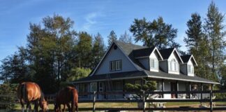 How to Create the Perfect Home for Your Horse