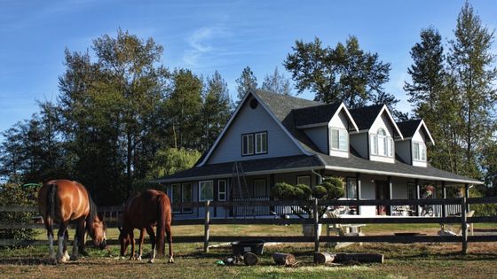 How to Create the Perfect Home for Your Horse